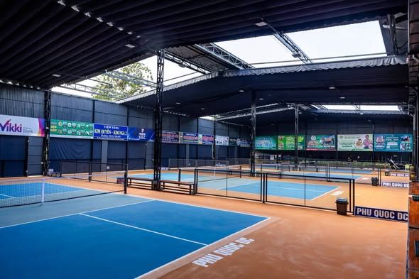 Sân pickleball trong nhà